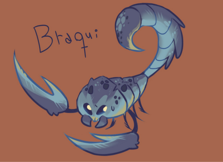 Braqui